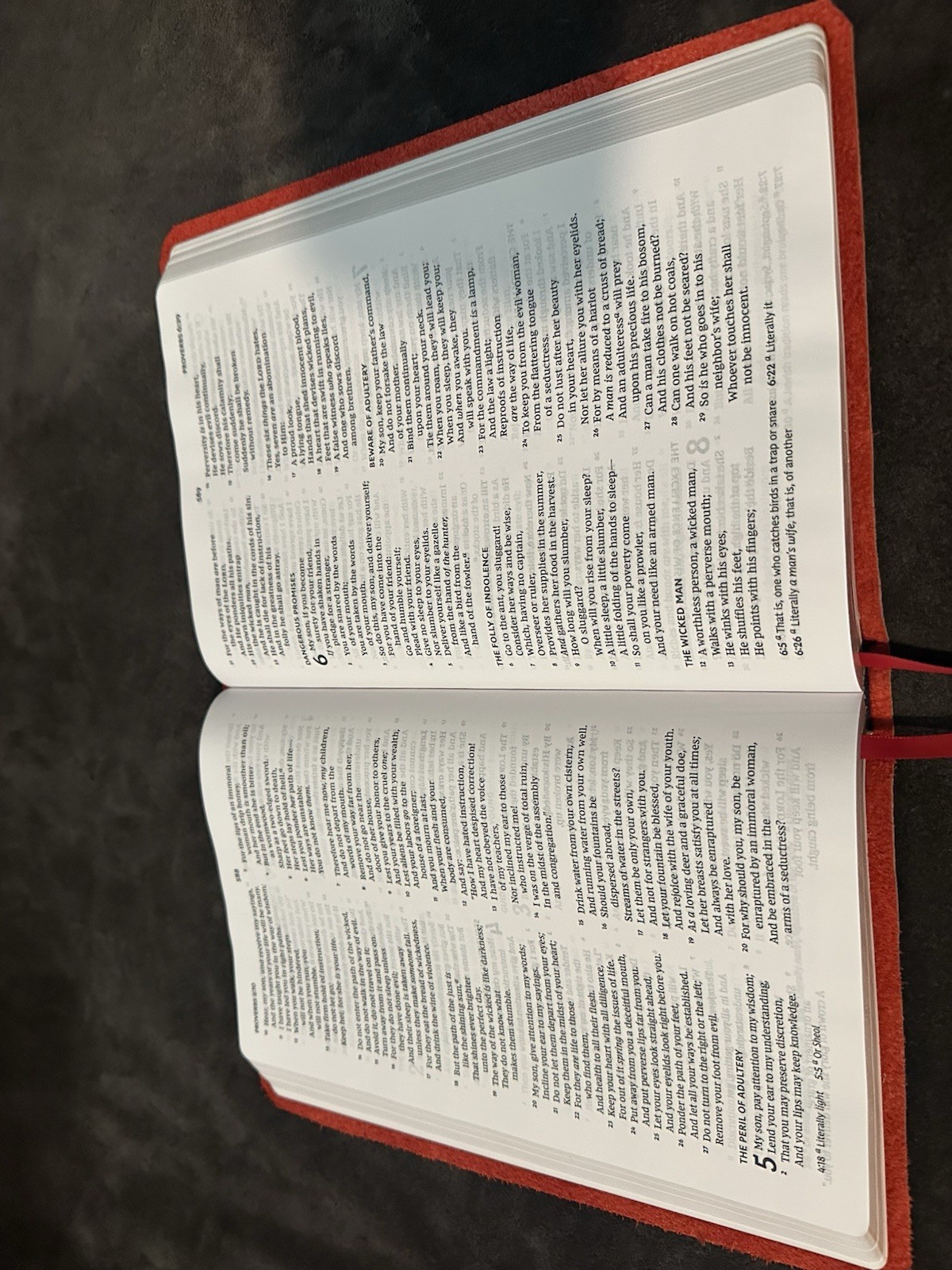 nkjv New King James bible large print red letter Leather Thinline
