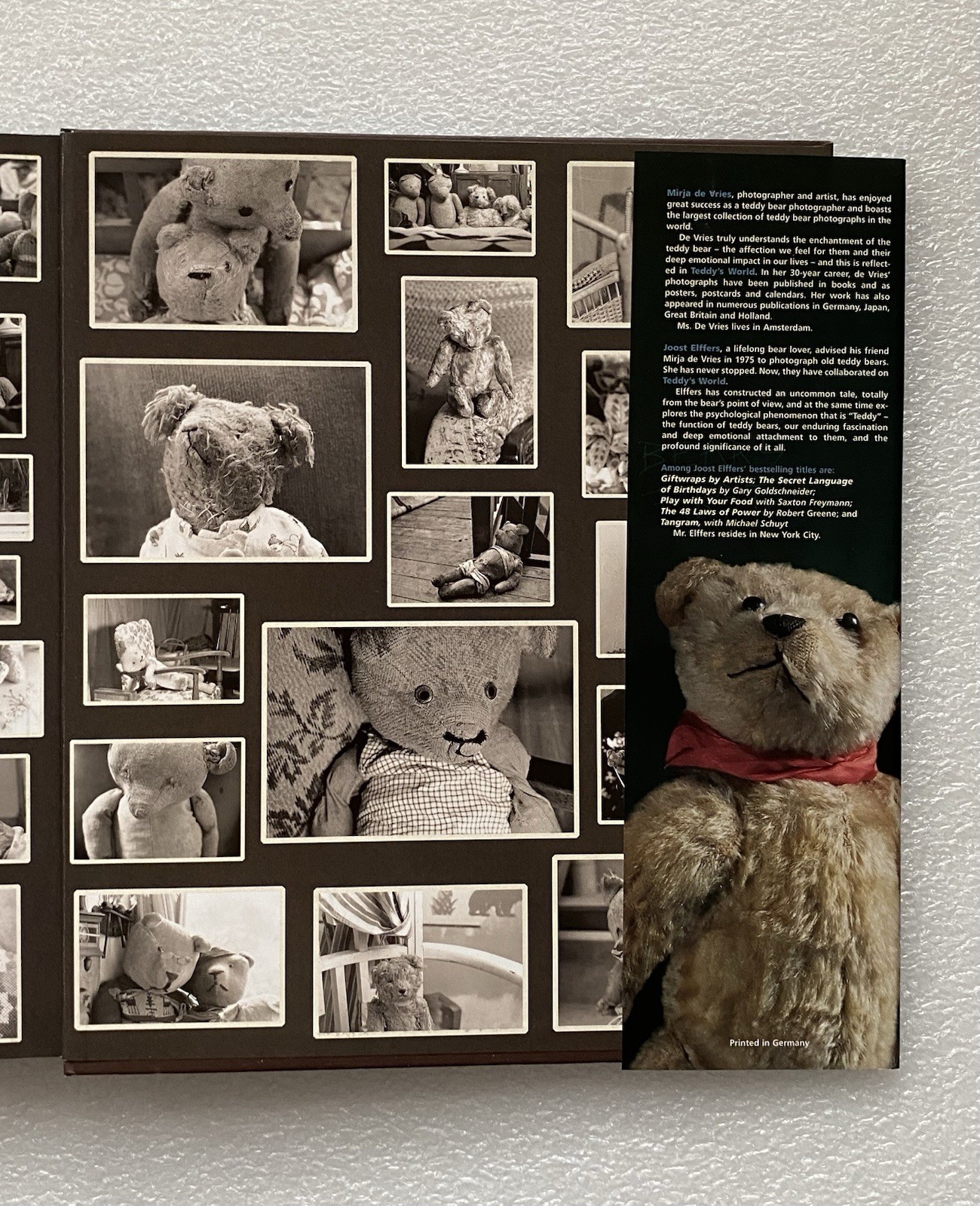 Teddy’s World Large Book by Joost Elffers and Mirja de Vries (2002 Hardcover)