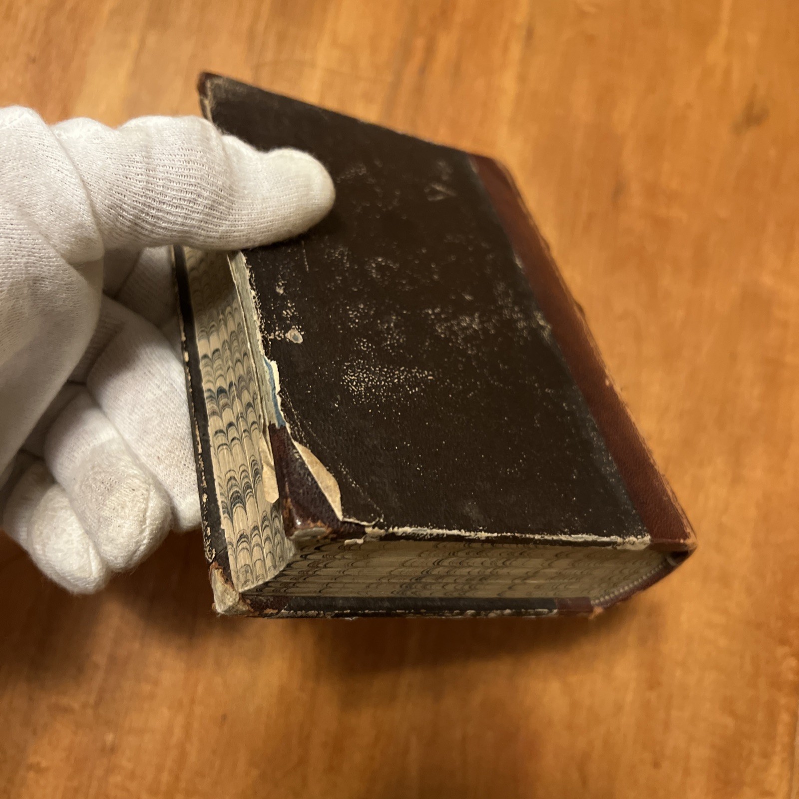Rare 1855 F.W. Hackländer’s Werke Vol. 1 w/ Portrait, Adolf Krabbe, Half-Leather