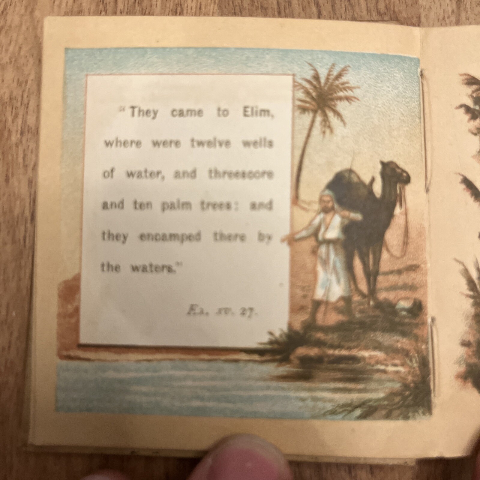The Pilgrims Rest Antique Illustrated Mini Pray book Lady Hope 3” Hardback