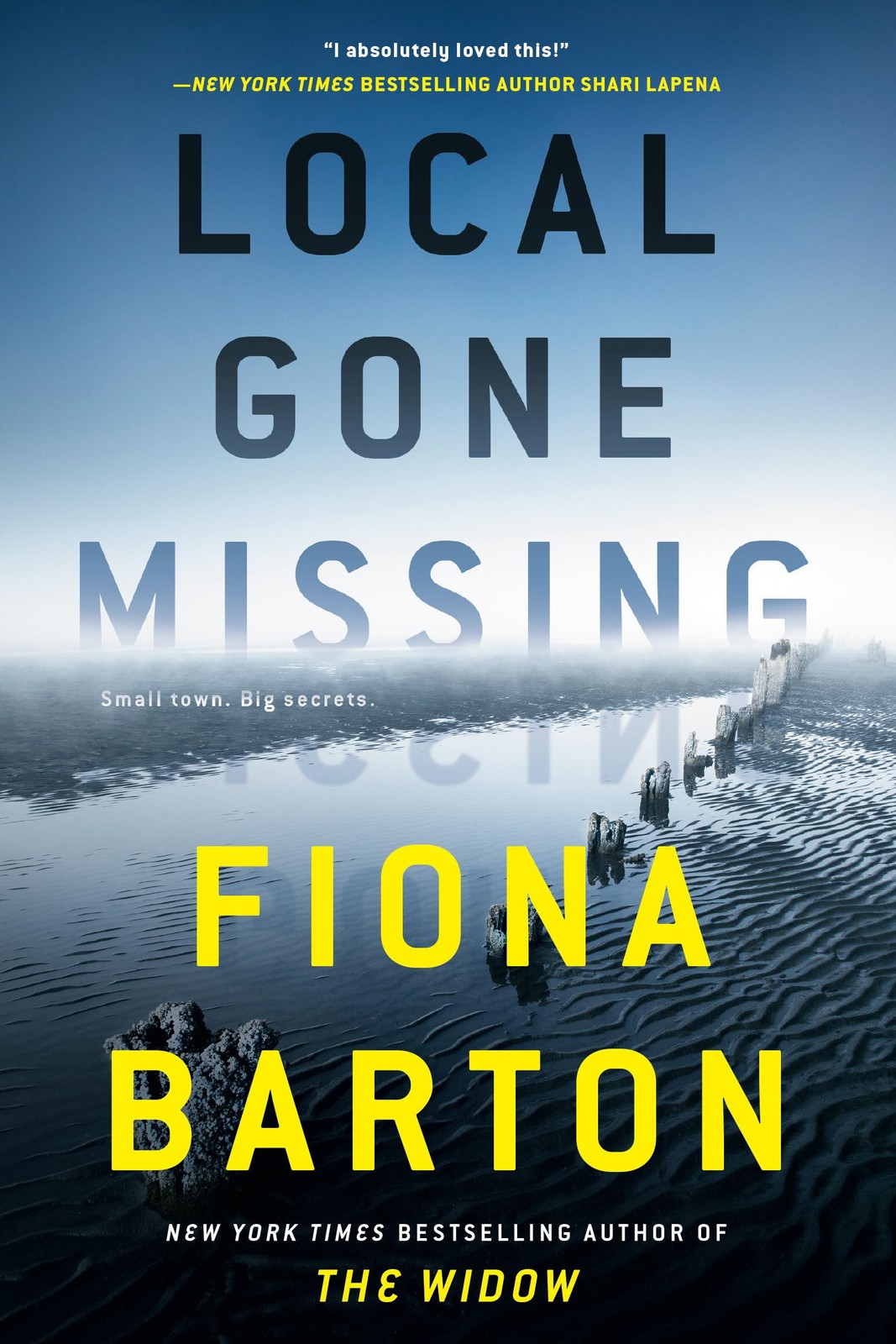 LOCAL GONE MISSING – paperback Fiona Barton