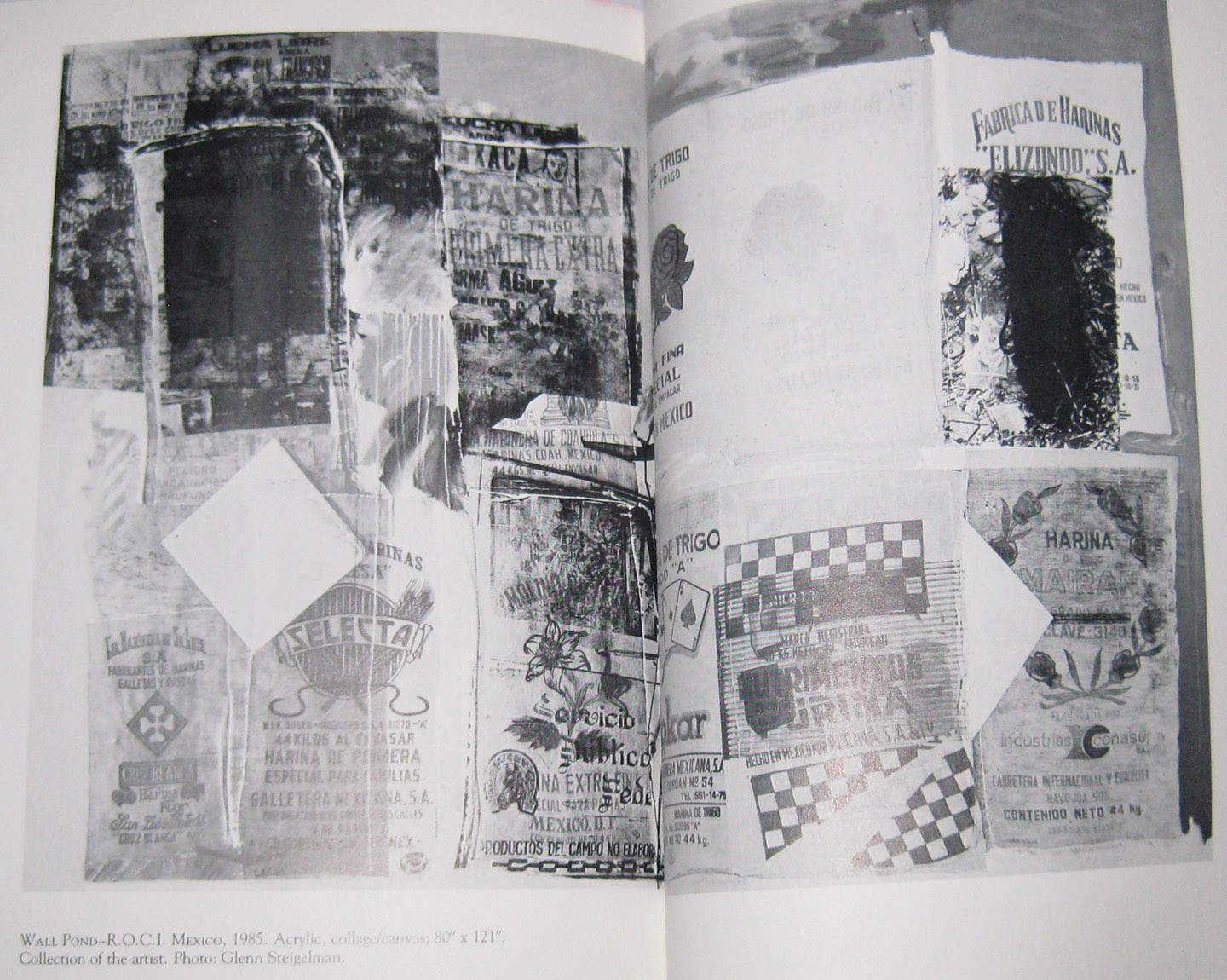Robert Rauschenberg by Elizabeth Avedon (1987, Trade Paperback), 6 in X 9.25 in.