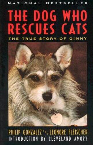 The Dog Who Rescues Cats: True Story of Ginny, The – Paperback – GOOD