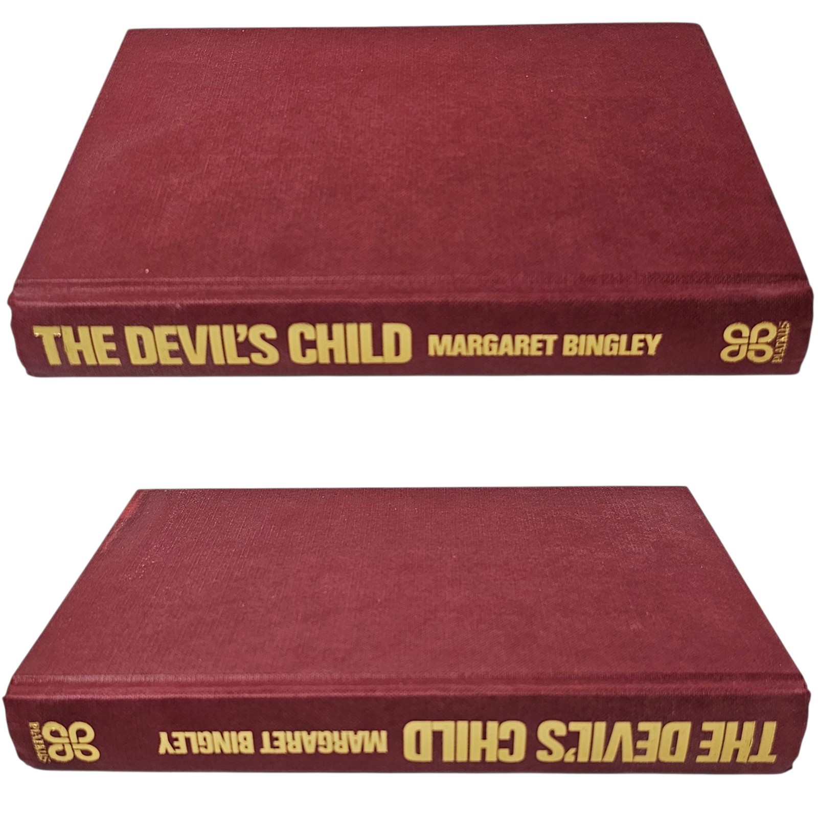 The Devil’s Child Margaret Bingley 1983 Vtg Hardcover 1st Ed Horror Possession