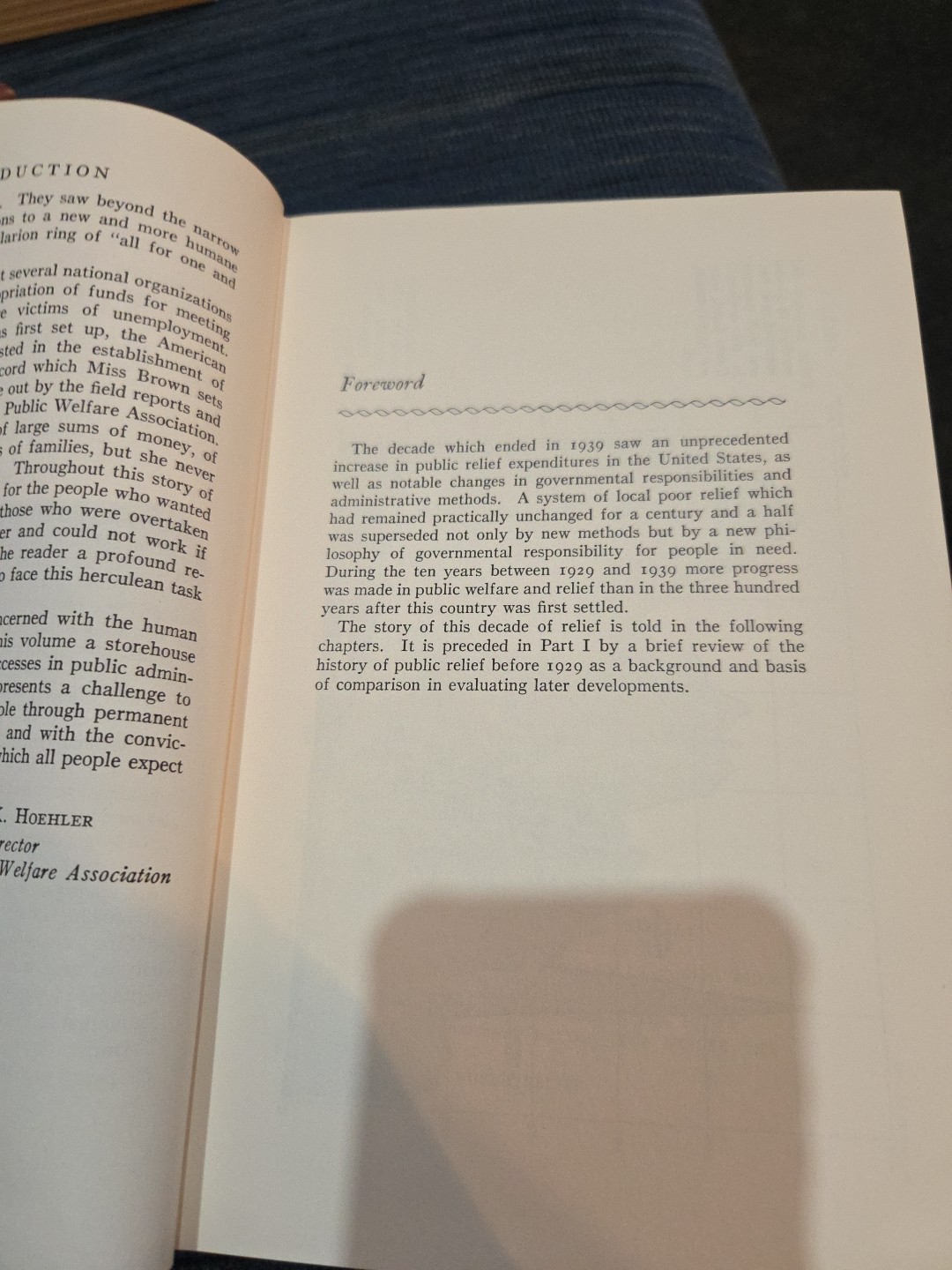 PUBLIC RELIEF 1929-1939 Josephine Chapin Brown 1971 Octagon Books