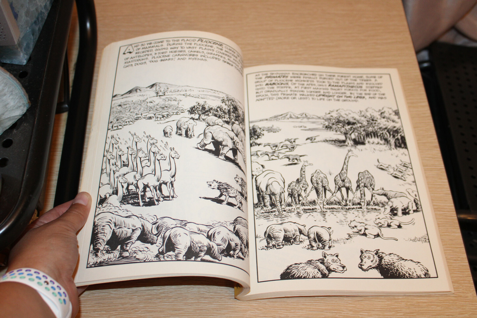 Cartoon History of Universe Kno by Larry Gonick Paperback FIRST QUILL EDITION