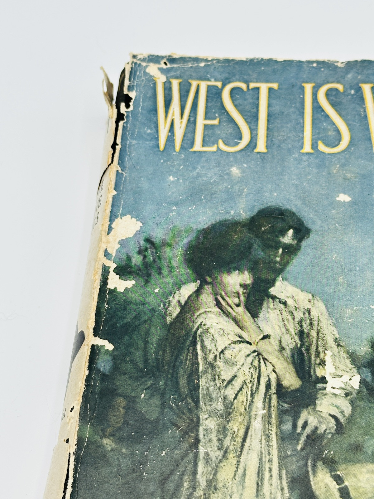 EUGENE MANLOVE RHODES West Is West 1st Ed RARE EARLY DJ