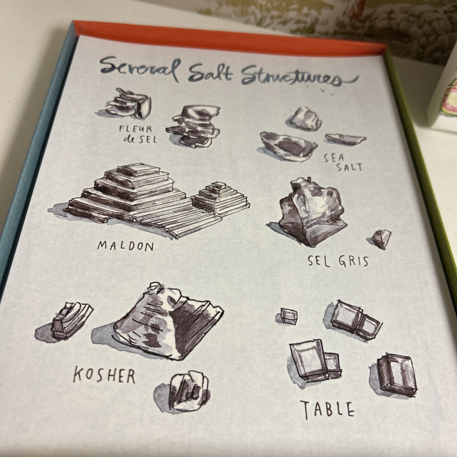 20 Prints 8×10” Illustrations Salt Fat Acid Heat By Samin Nosrat W MacNaughton