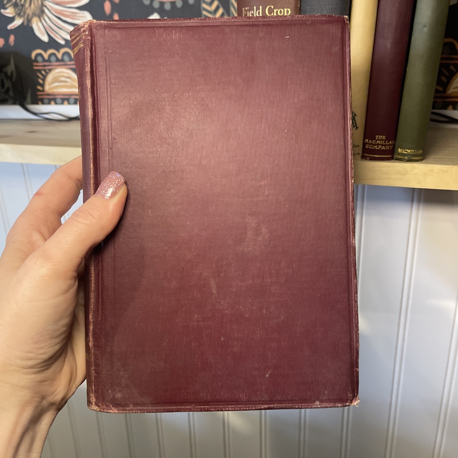 Antique Macmillan Agriculture & Rural Sociology Lot (6) 1920-1929 First Editions