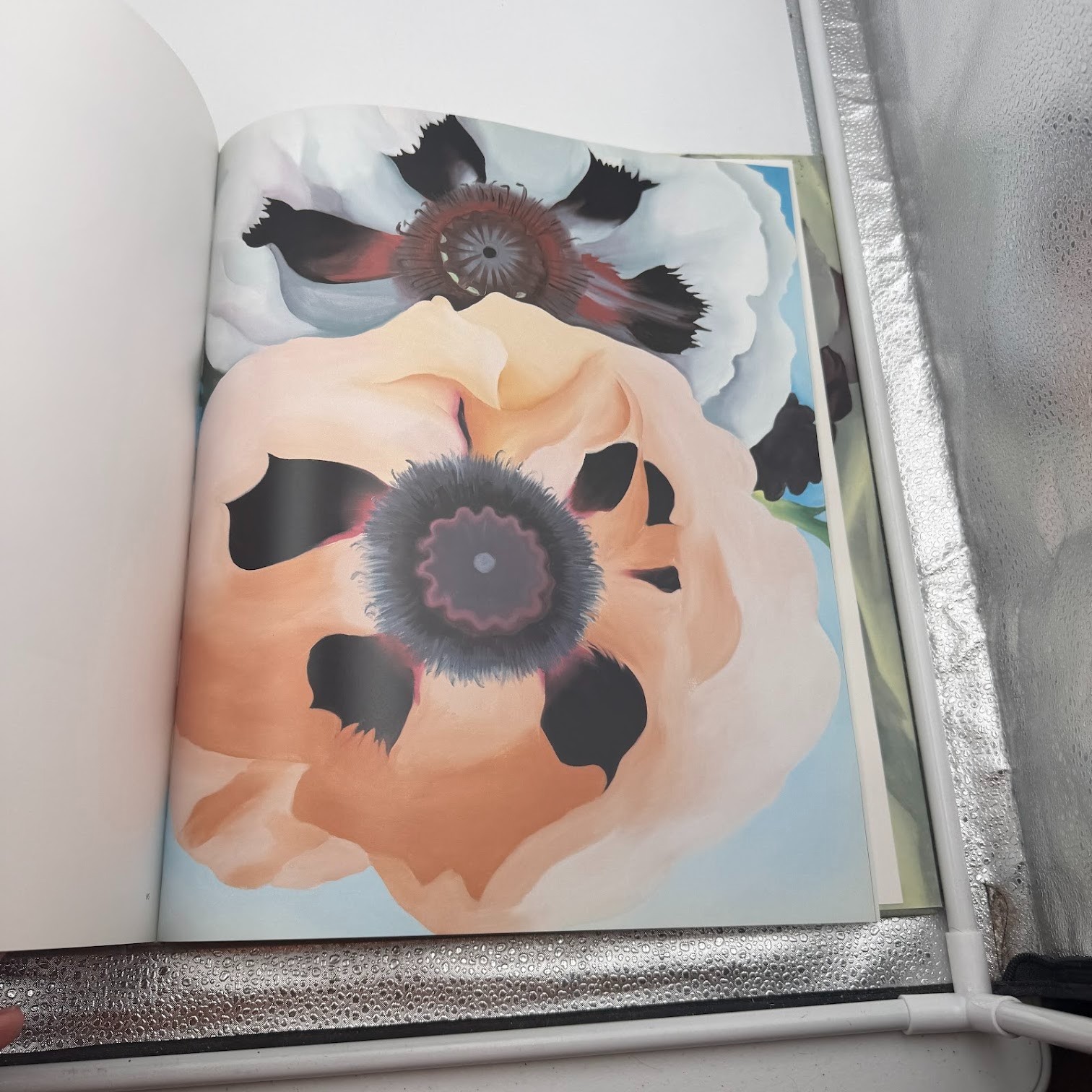 Georgia O’Keeffe : One Hundred Flowers by Georgia O’Keeffe (1995, HC) 16×13 in.