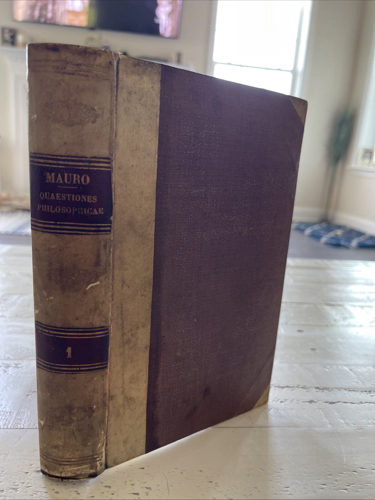 Quaestiones Philosophicae Vol. 1 by Sylvestro Mauro, 1875 Catholic Work