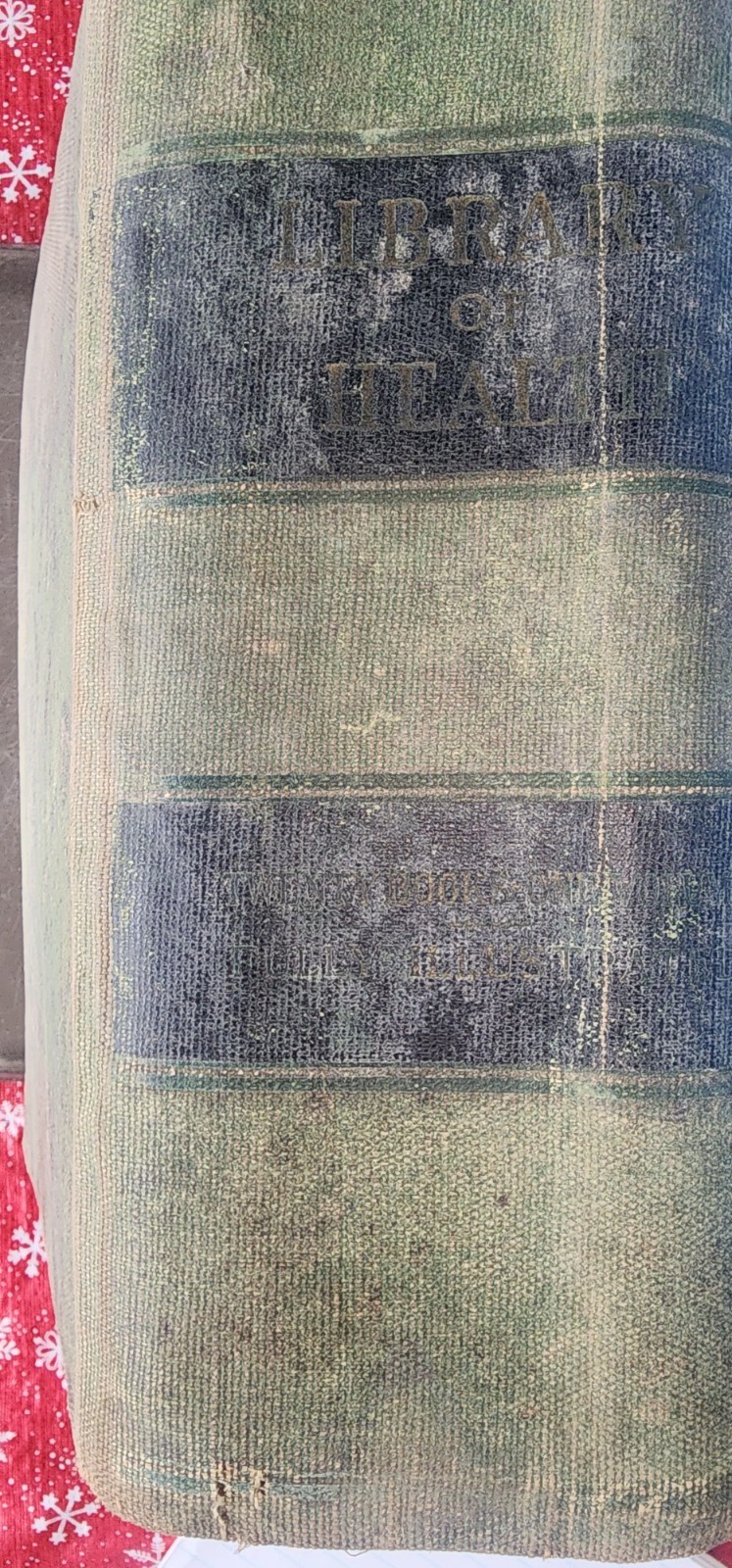 1916 Edition of the Library of Health. Huge Book 20 Volumes In 1