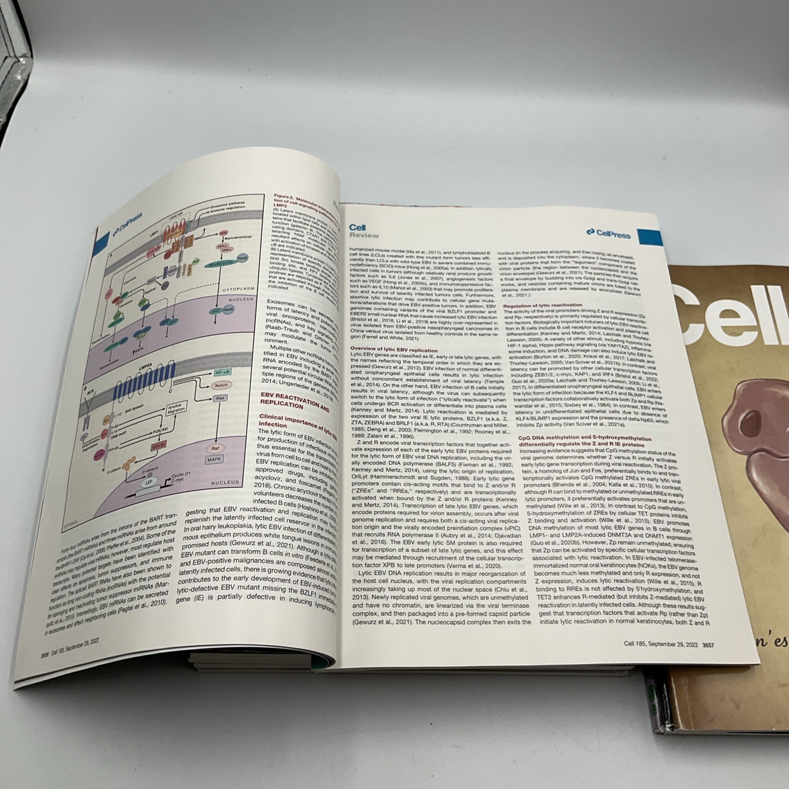 Cell Magazine Medical Journal Lot Of 9 Vol 185 #12, 13,17, 18, 19, 20,21,22-2022