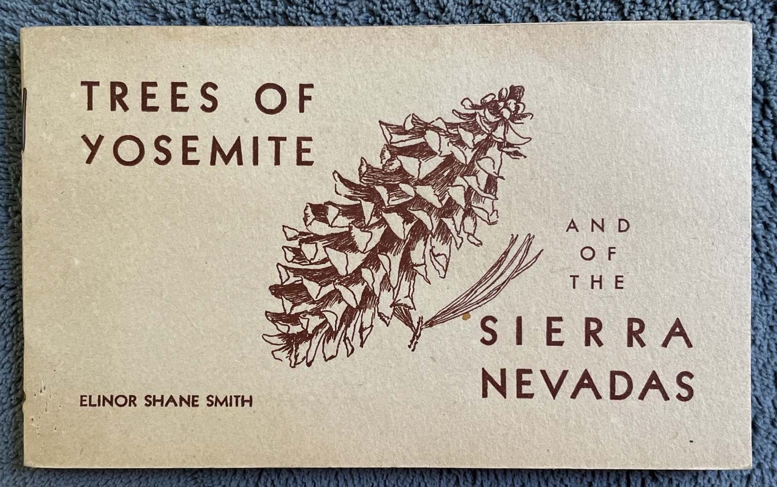 1929 Trees Of Yosemite and of The Sierra Nevadas Paperback~Elinor Shane Smith