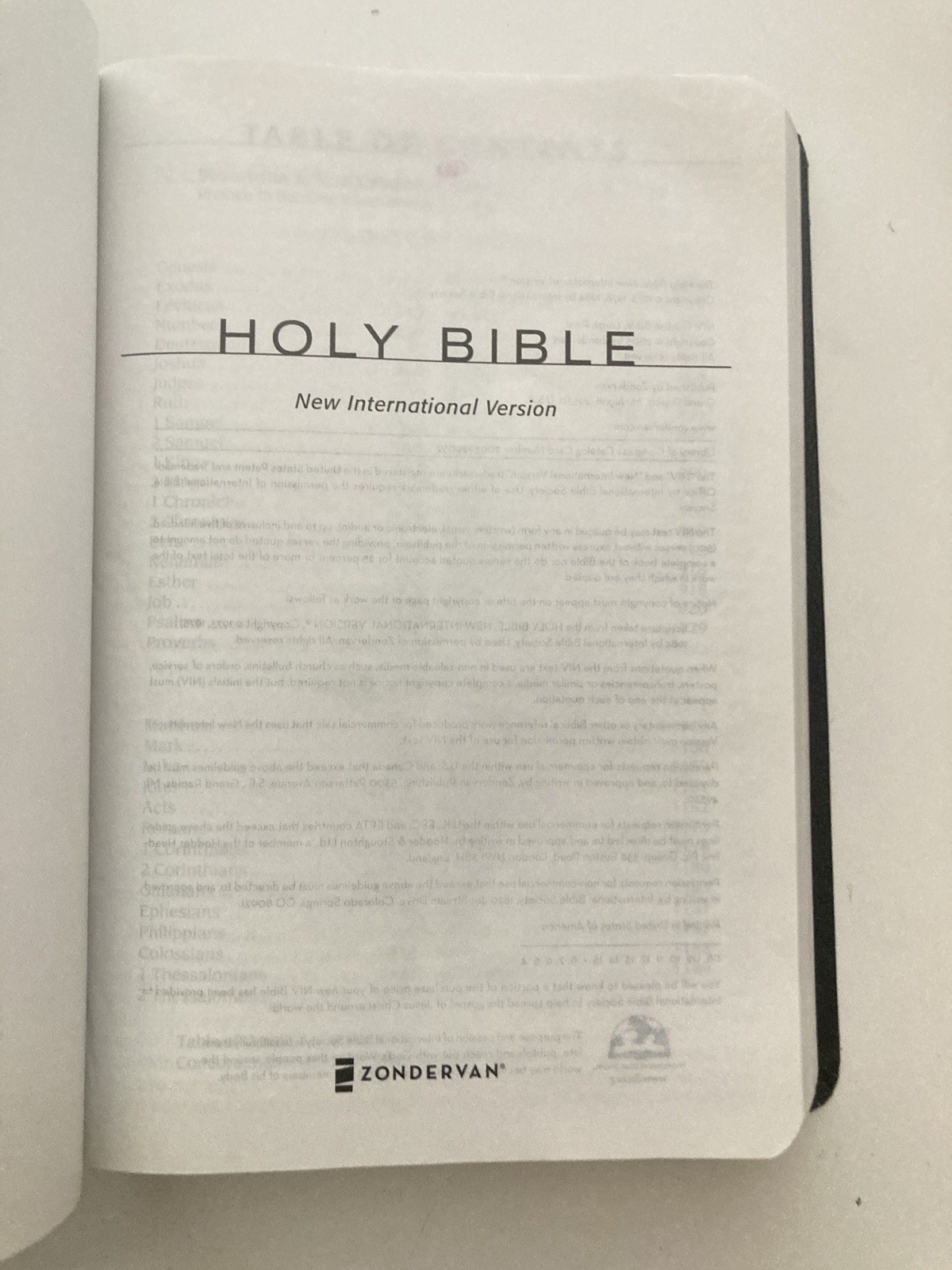 NIV 2005 Large Print Thinline Bible -Black Top Grain Genuine Leather-OOP 84