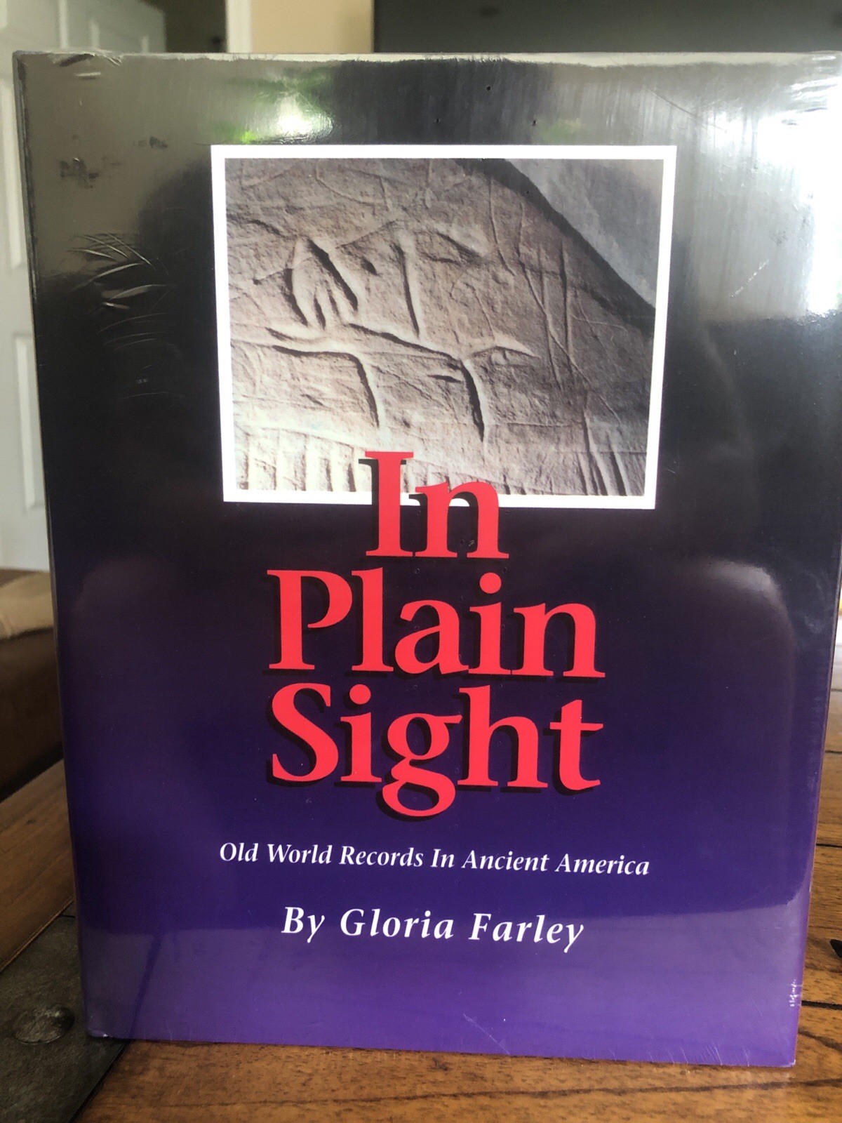 In Plain Sight