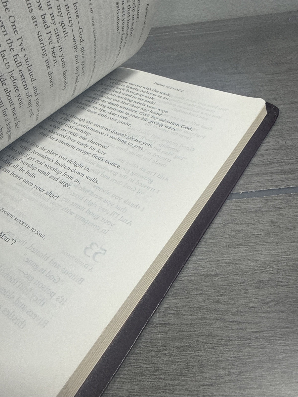 The Message Study Bible: Capturing the Notes and Reflections of Eugene Peterson
