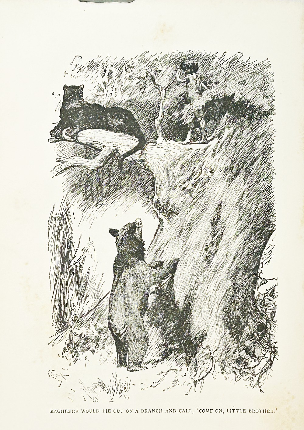 1894 Rare THE JUNGLE BOOK Antique FIRST EDITION Rudyard Kipling 3RD PRINTING