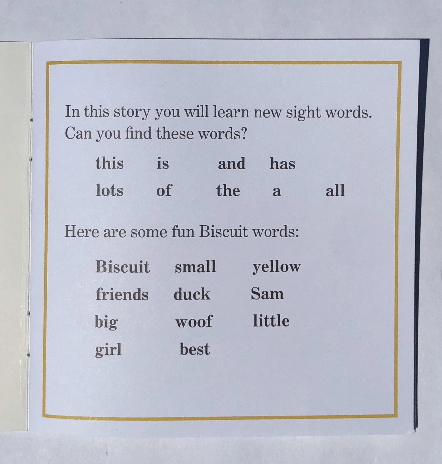 Biscuit Phonics Childrens Books Fun Learning Learn to Read I Can Read Lot 24
