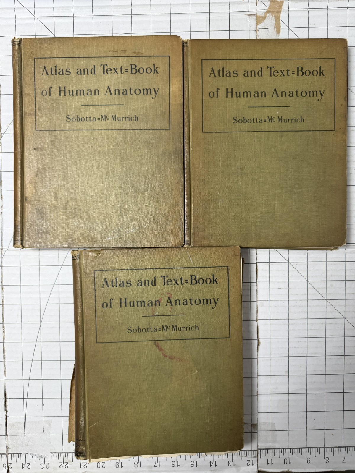 Atlas and Text-Book of Human Anatomy by Sobotta & McMurrich 3 Volume Set 1914 HC