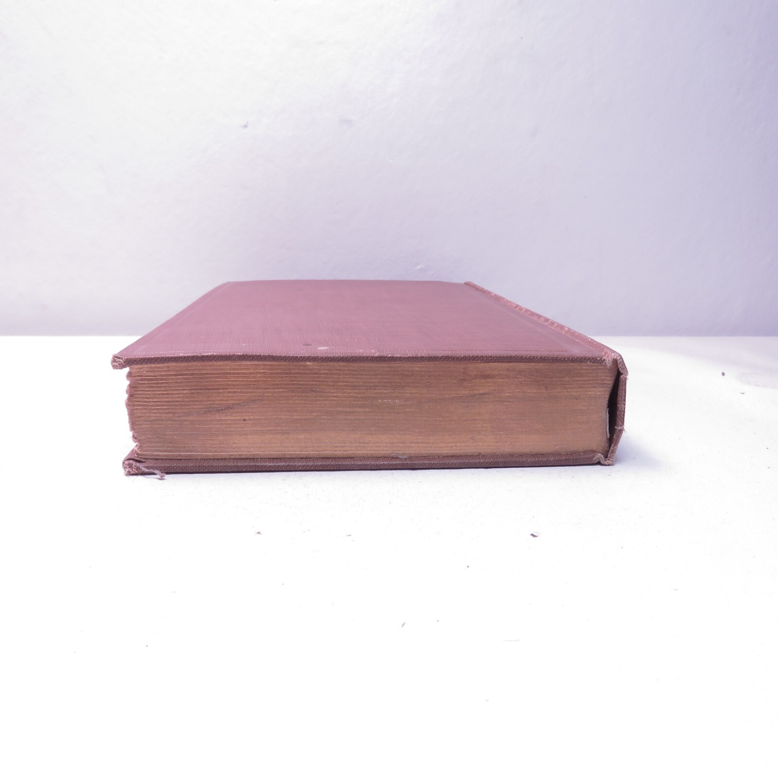 1902 COMPLETE WORKS OF EDGAR ALLAN POE VOLUME VIII Only