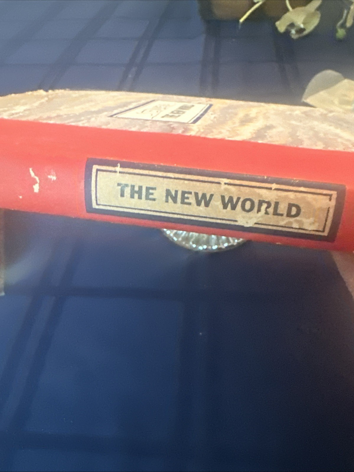 THE NEW WORLD,1965,Saul Steinberg,1st Edition,DJ