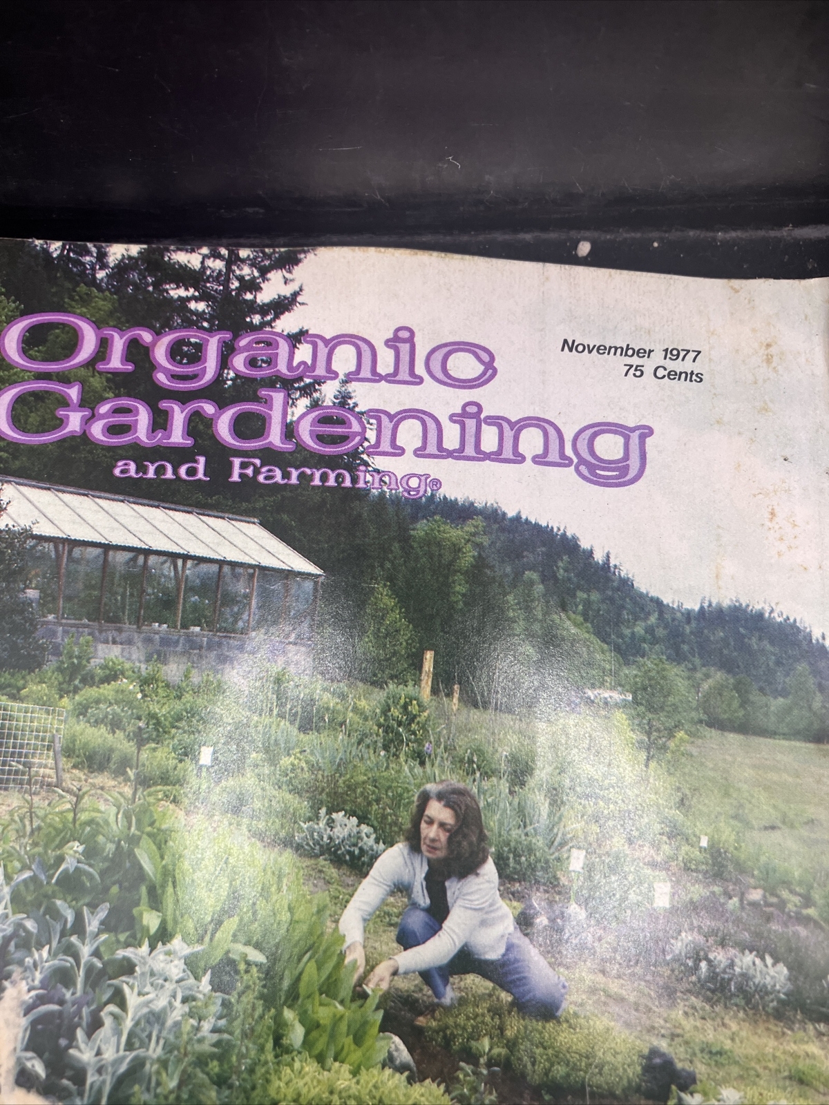 Organic Gardening & Farming Magazine Compost from Scratch November 1977. AD