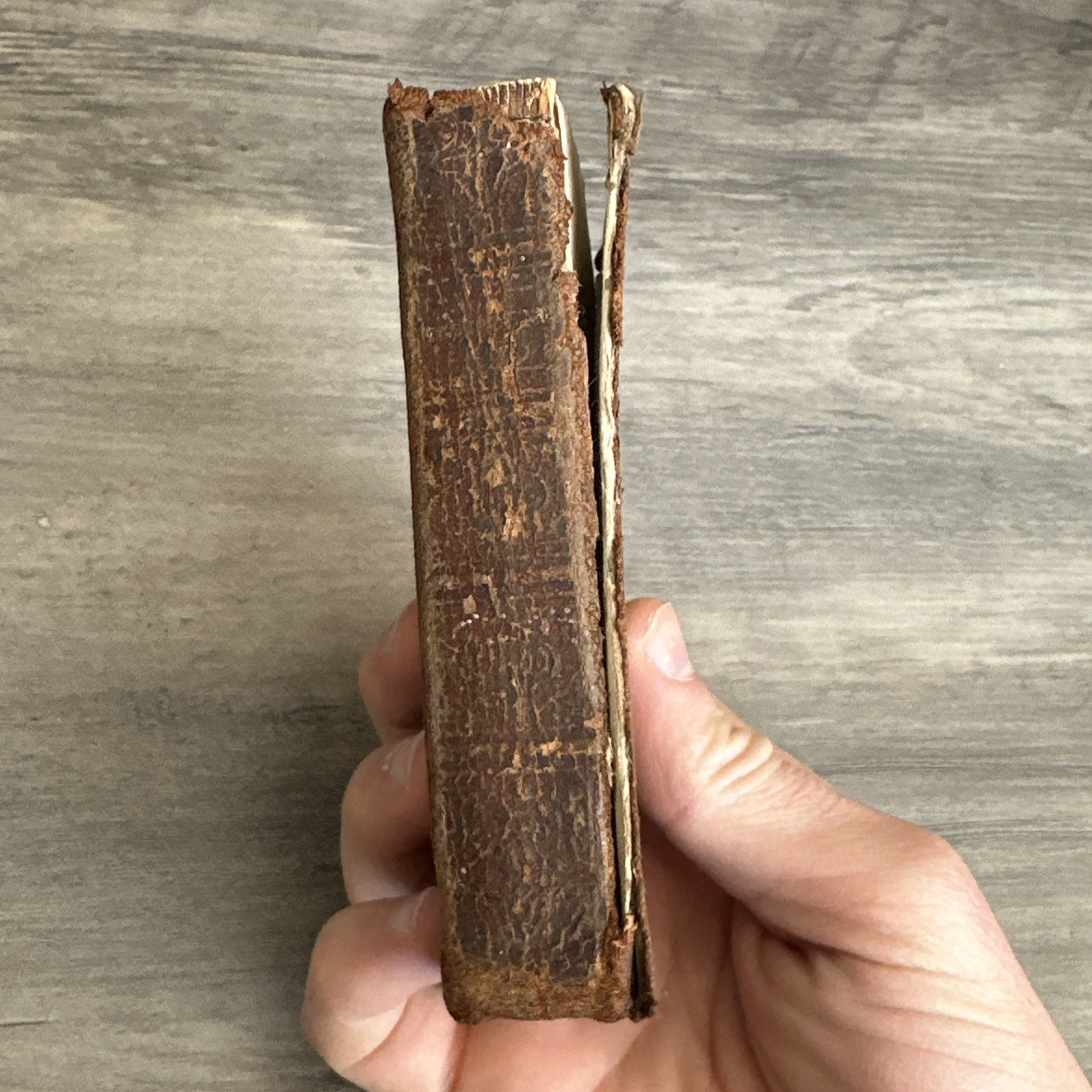 1854 Antique New Testament Pocket Bible American Bible Society Rare Collectible