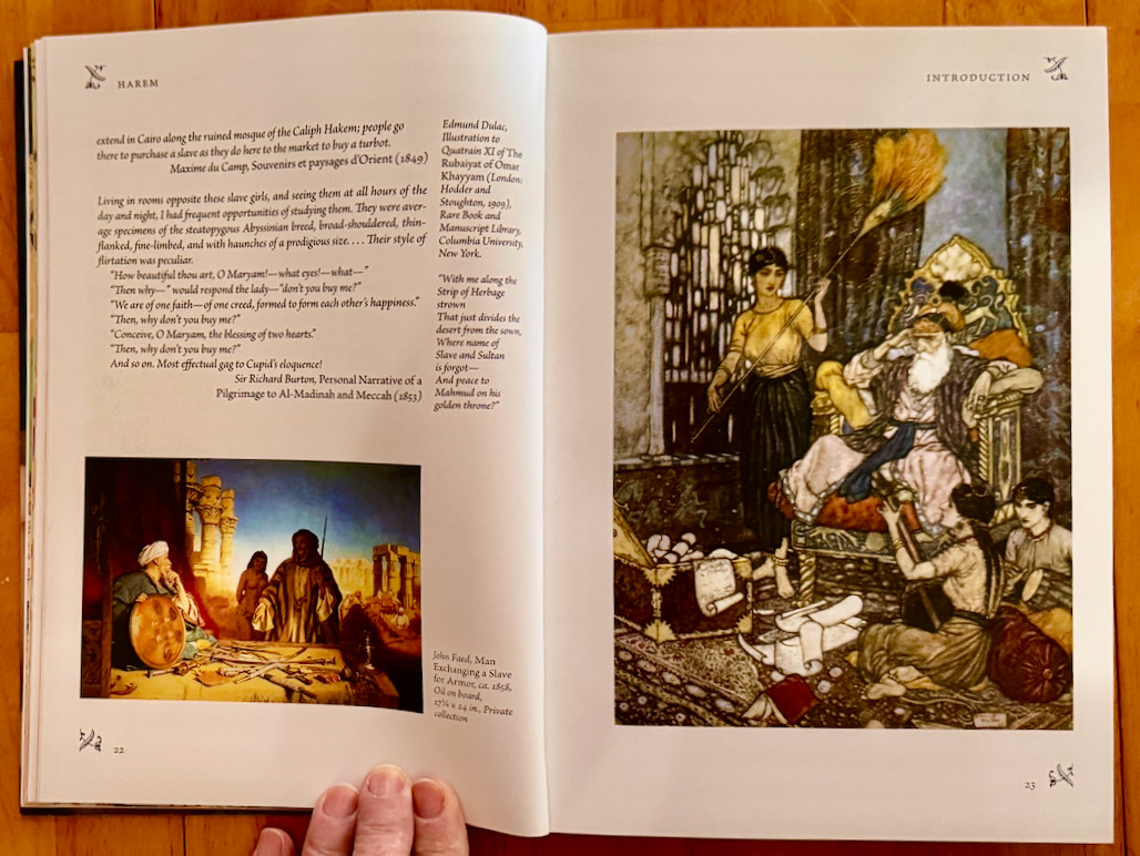 HAREM: THE WORLD BEHIND THE VEIL BY ALEV LYTLE CROUTIER LIKE NEW ILLUSTRATED