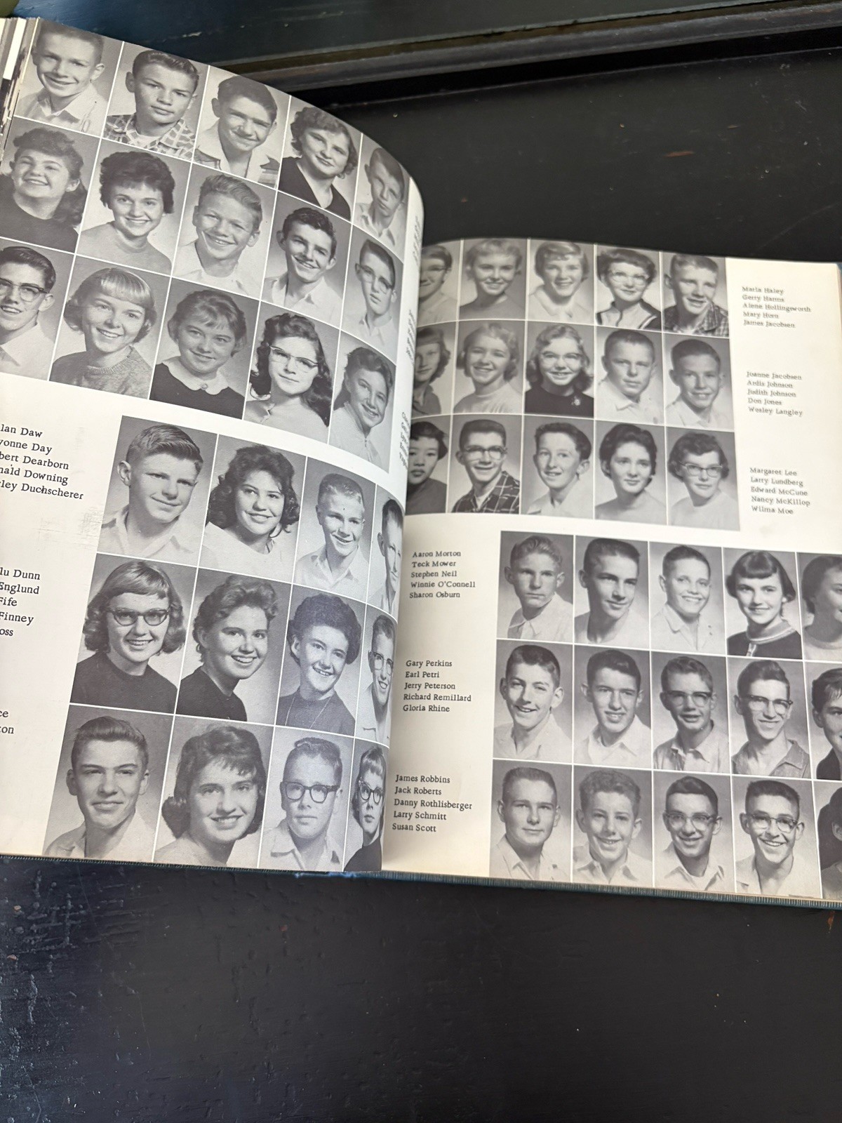 Vintage 1959 Hamilton High School Nevada Yearbook