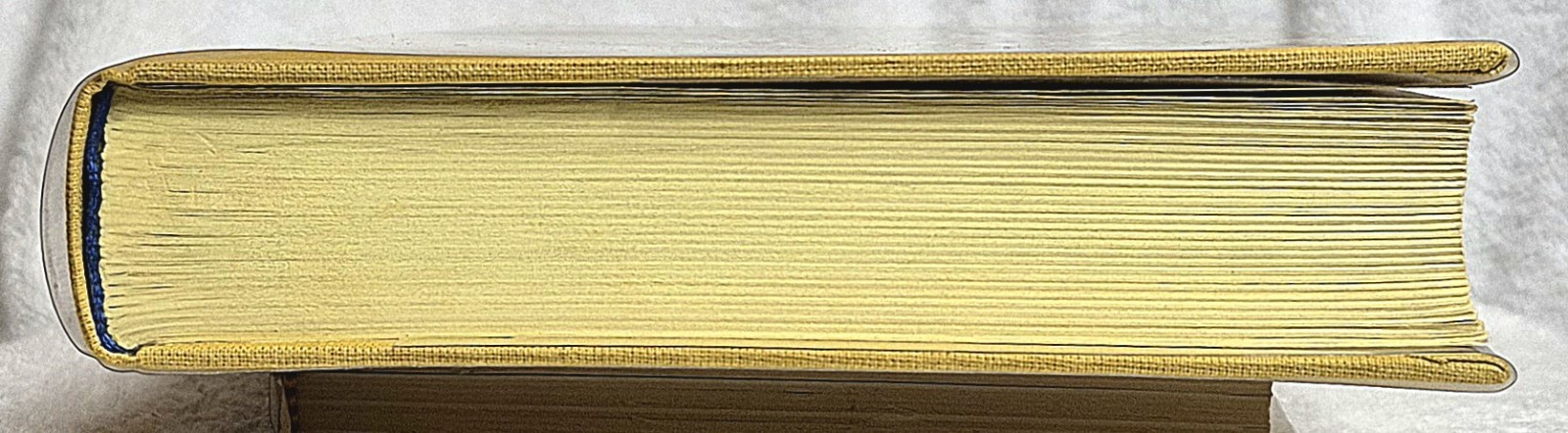 Nietzsche Werke • Jenseits & Genealogie ( Vol. 2 • de Gruyter 1968) • VG