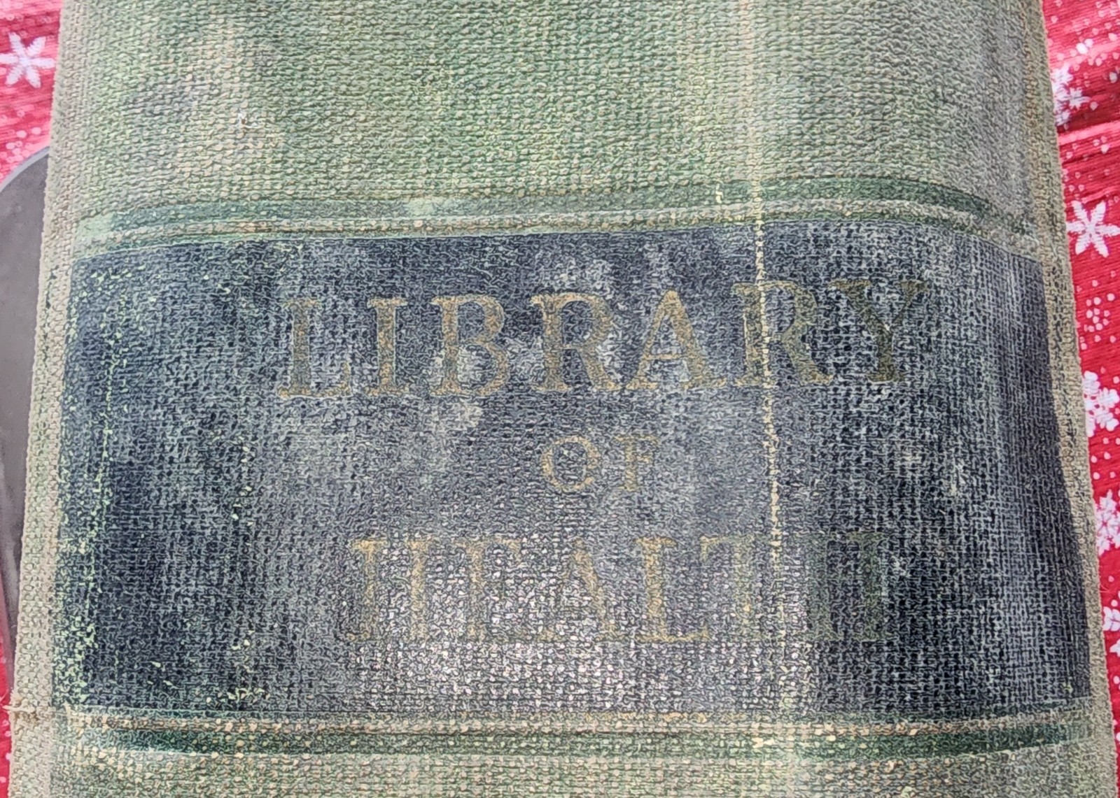 1916 Edition of the Library of Health. Huge Book 20 Volumes In 1