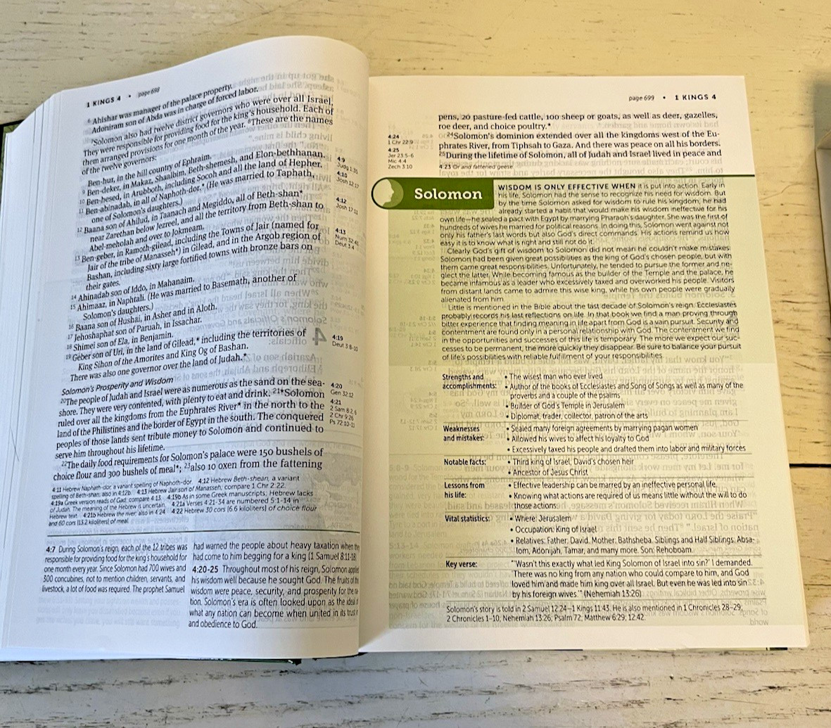 Life Application Study Bible NLT New Living + Slipcase Large Print 2020 3rd ED