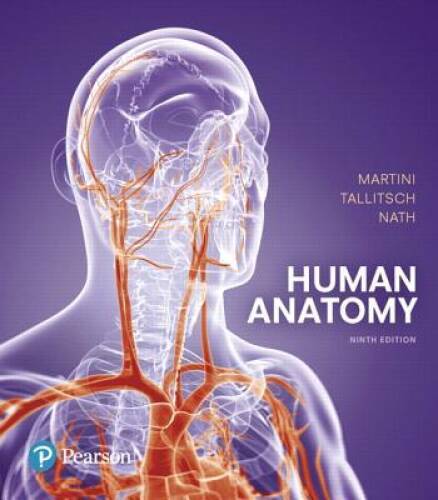 Human Anatomy (9th Edition) – Hardcover By Martini, Frederic H. – GOOD