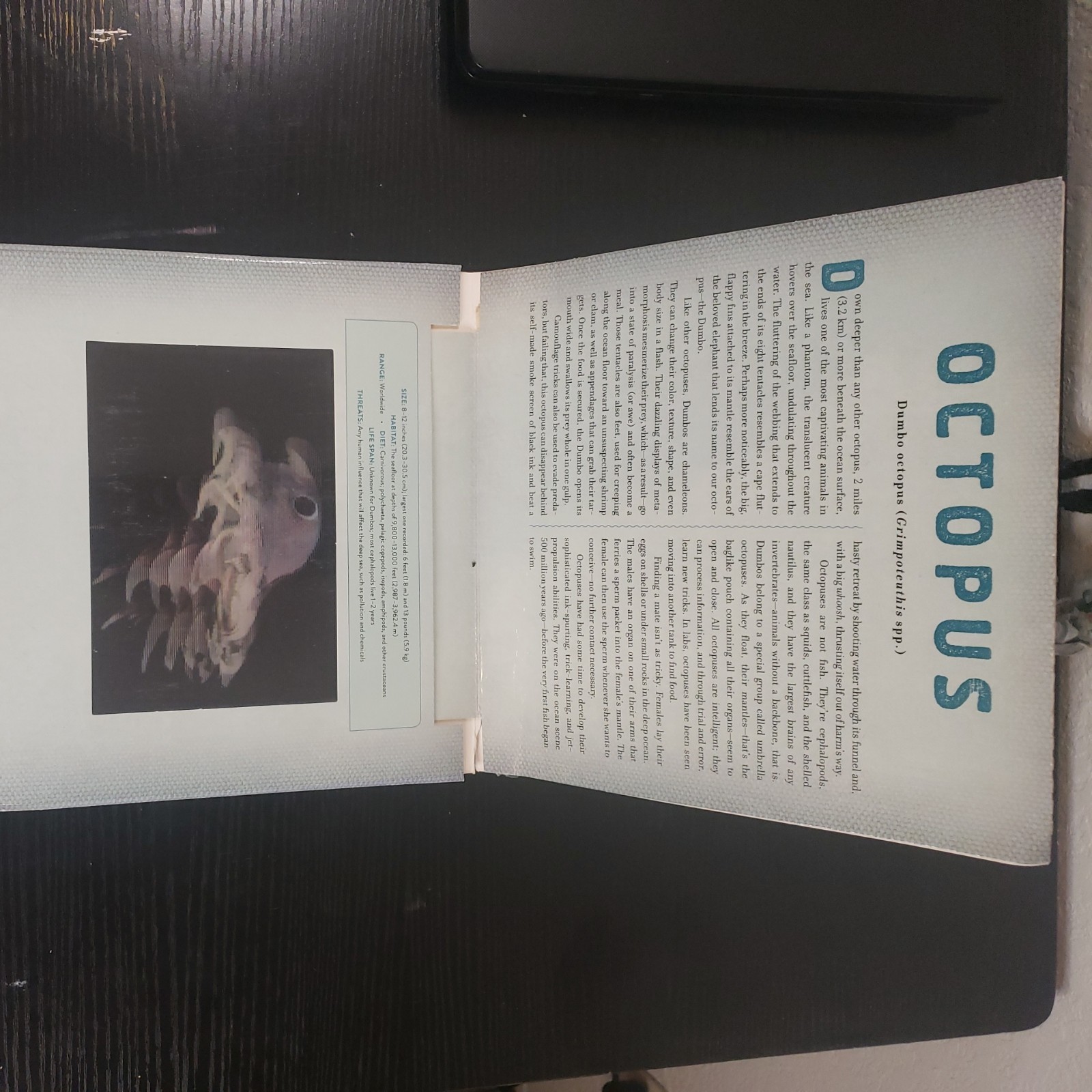 Ocean : A Photicular Book by Carol Kaufmann and Dan Kainen (2014, Hardcover)