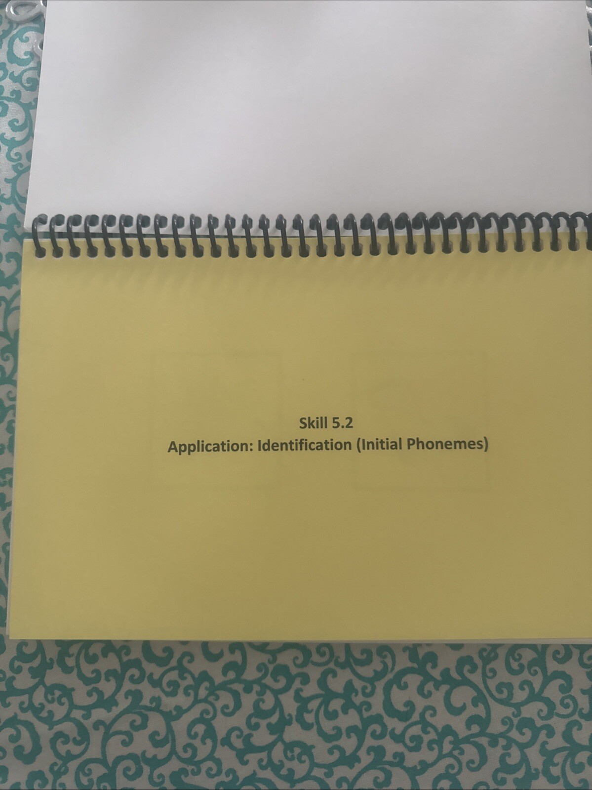 95% Group Flip Book For Skill 5: Phonemes (set Of 5)
