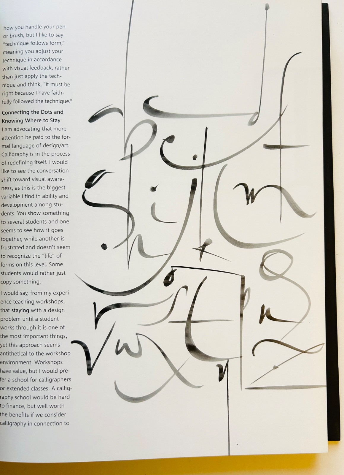 Scribe: Artist of the Written Word, John Stevens HCDJ RARE out of print