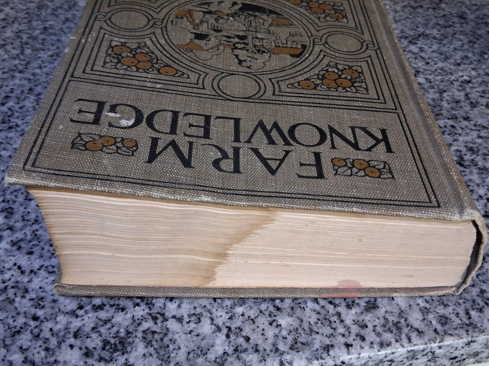 1919 Antique Agriculture Book “Farm Knowledge: Farm Management”