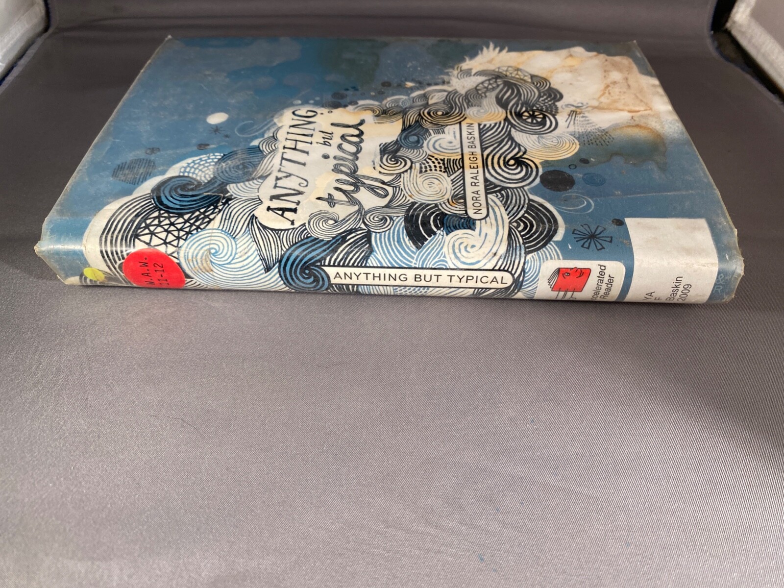 Anything But Typical by Nora Raleigh Baskin Hardcover Dust Jacket Ex-Library