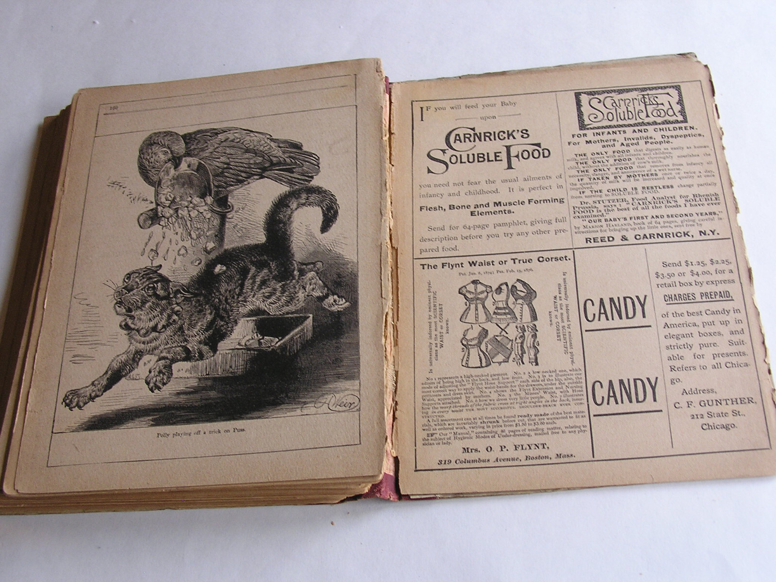 Vintage Rare 1889 Children’s hardcover- 166 pages