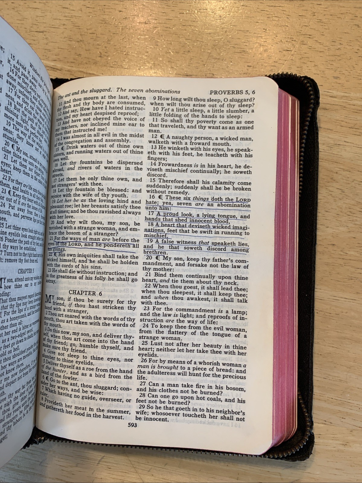 Vintage Holy Bible KJV American Bible Society Zipper Red Edges Maps Leather