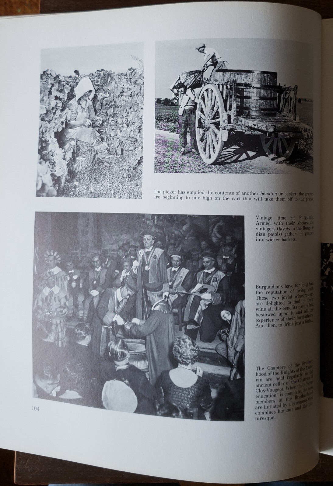 The Great Book of Wine 522 Pages 240 Illustrations 1982 7500 Wines Learn History