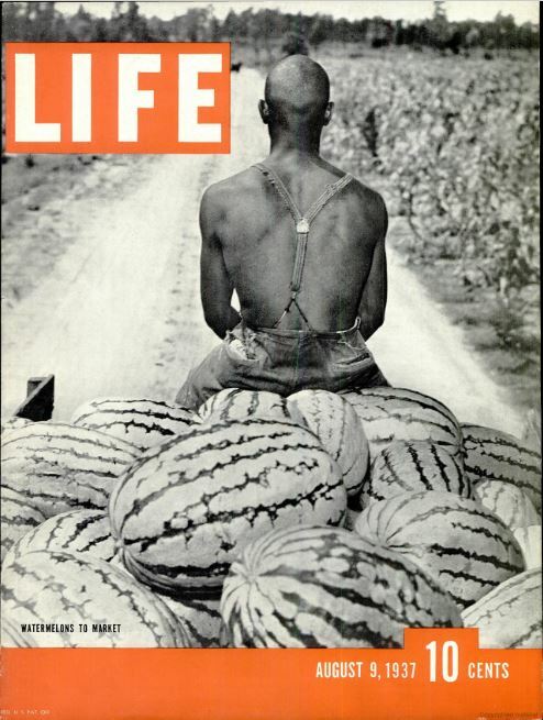 LIFE MAGAZINE 1930’S 161 Unique Issue Collection On USB Flash Drive