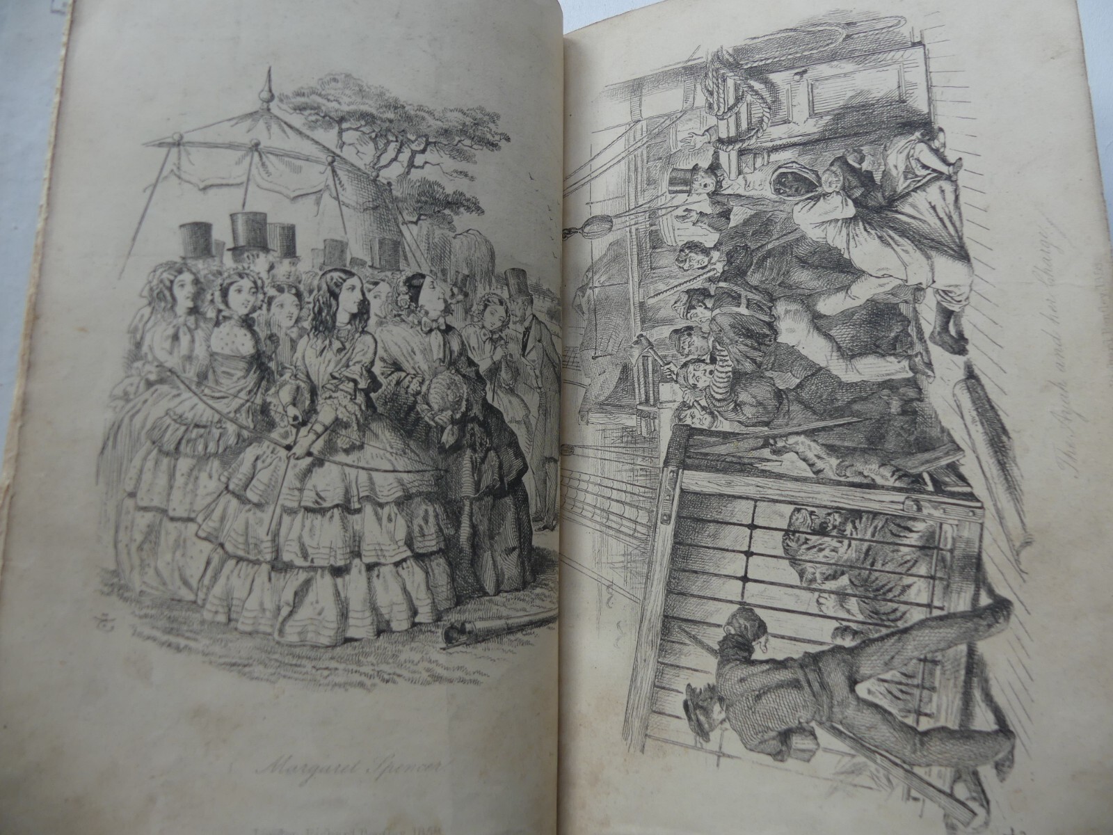 The Gordian Knot 1860 Shirley Brooks John Tenniel Illustrations 1st editions