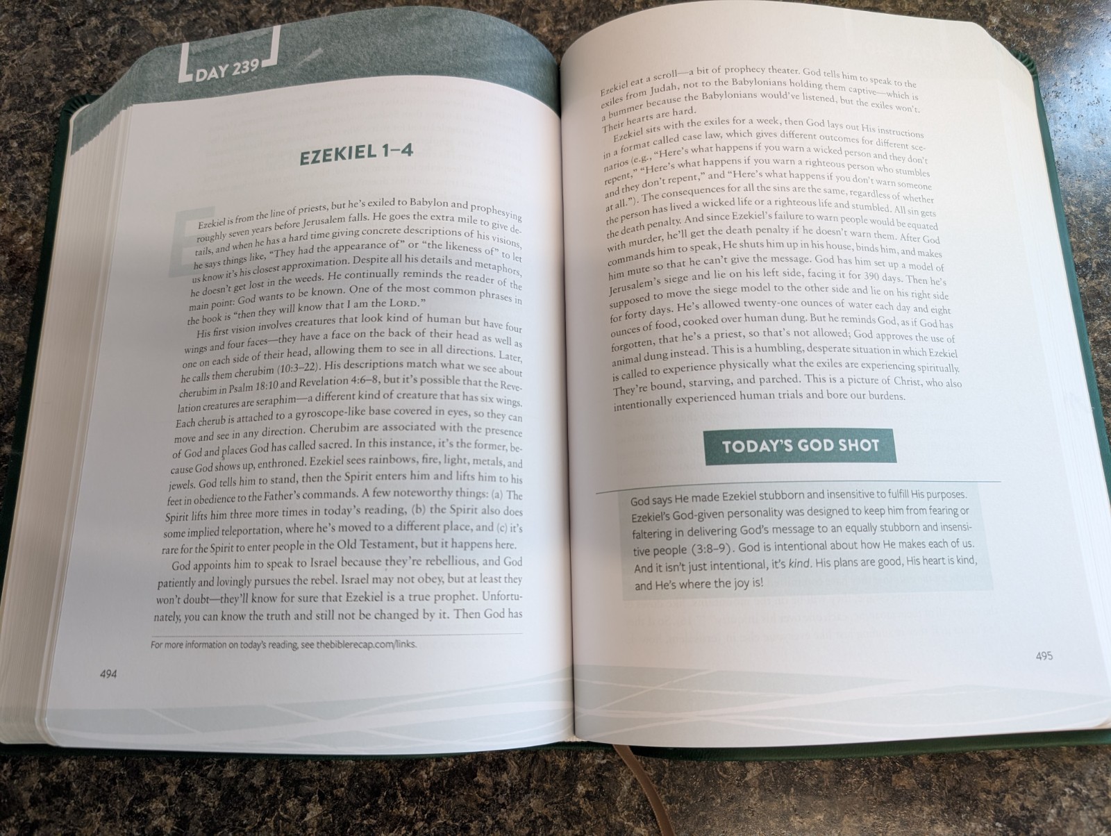 The Bible Recap: A One-Year Guide by Tara-Leigh Cobble – Faux Leather Edition