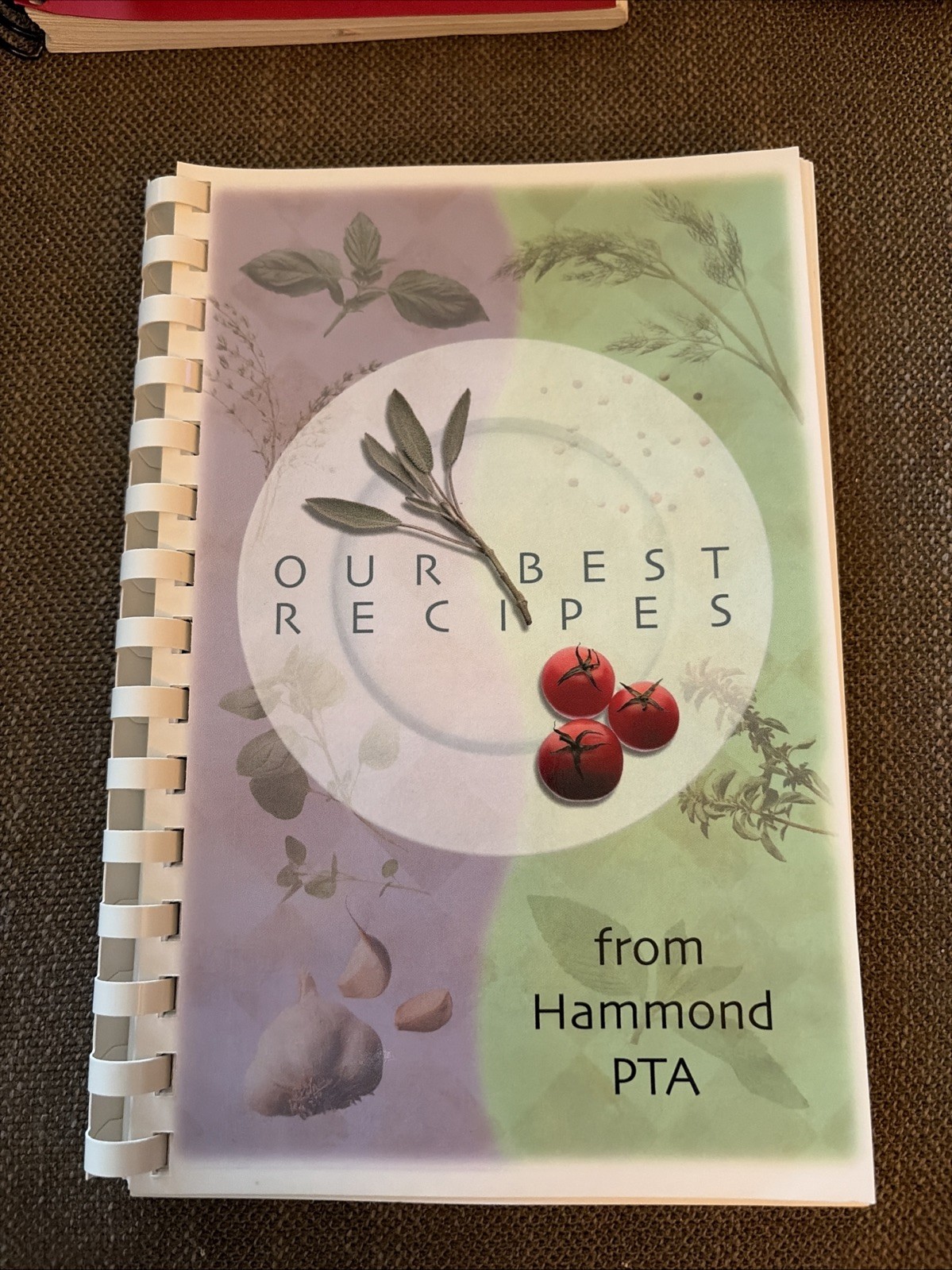 Our Best Recipes Cookbook Hammond PTA 2005 Hammond, Pennsylvania 105+ Pages