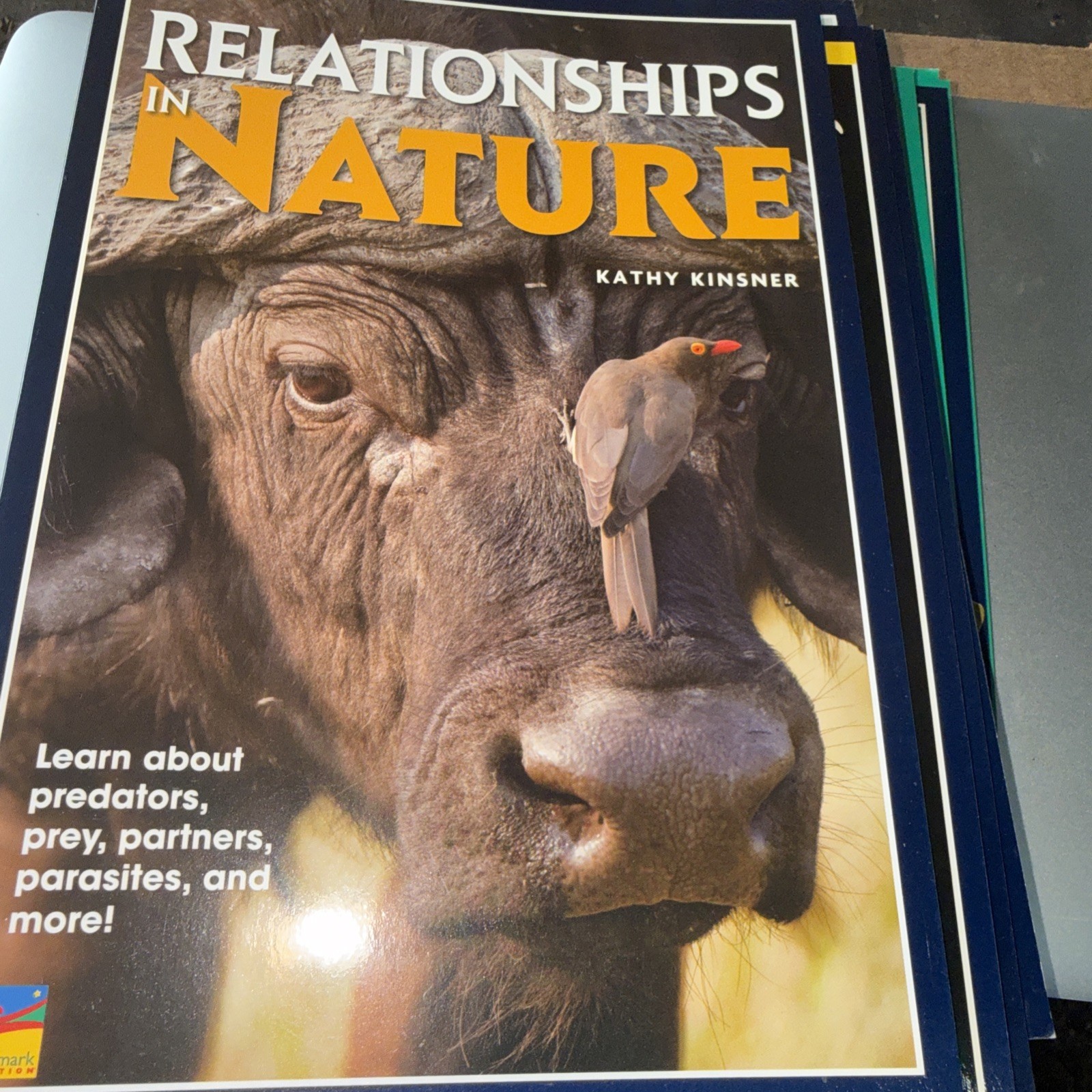 17 Benchmark Educational Book Various Titles See Photos SB Box 1