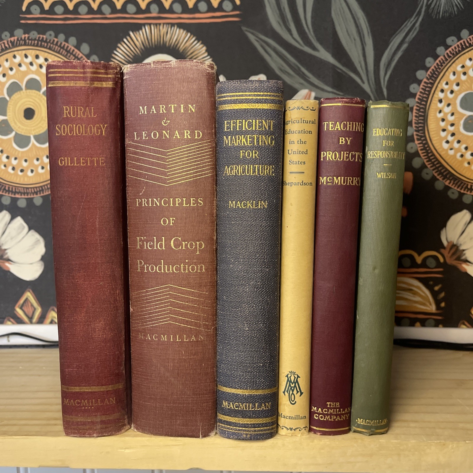 Antique Macmillan Agriculture & Rural Sociology Lot (6) 1920-1929 First Editions
