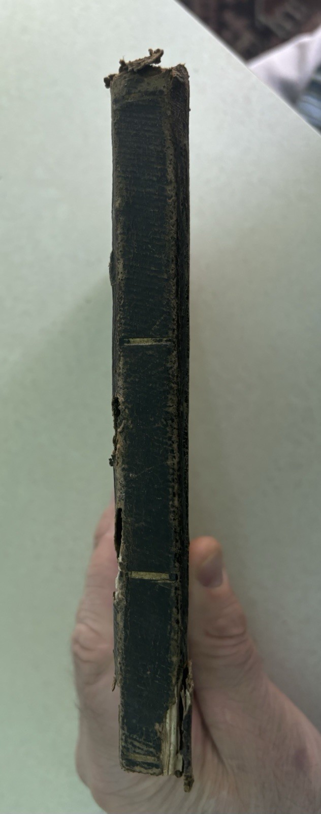 Mitchell’s Primary Geography; Study of Geography, 1854