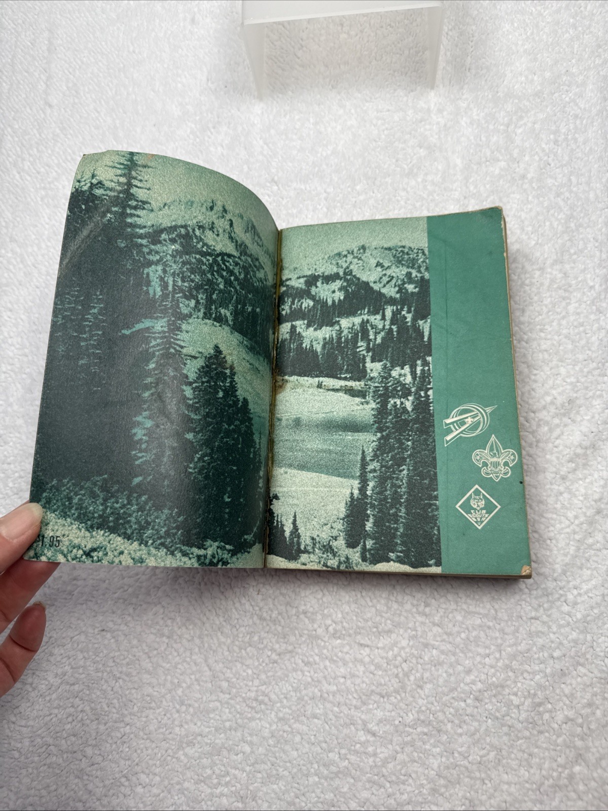 Fieldbook for Boys and Men ~ Boy Scouts of America 1969 PB Green